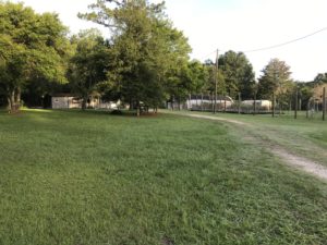 1.3 acre nursery